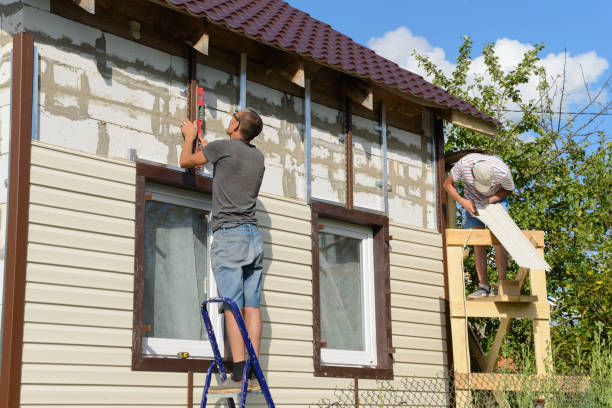 Best Insulated Siding Installation  in Clendenin, WV